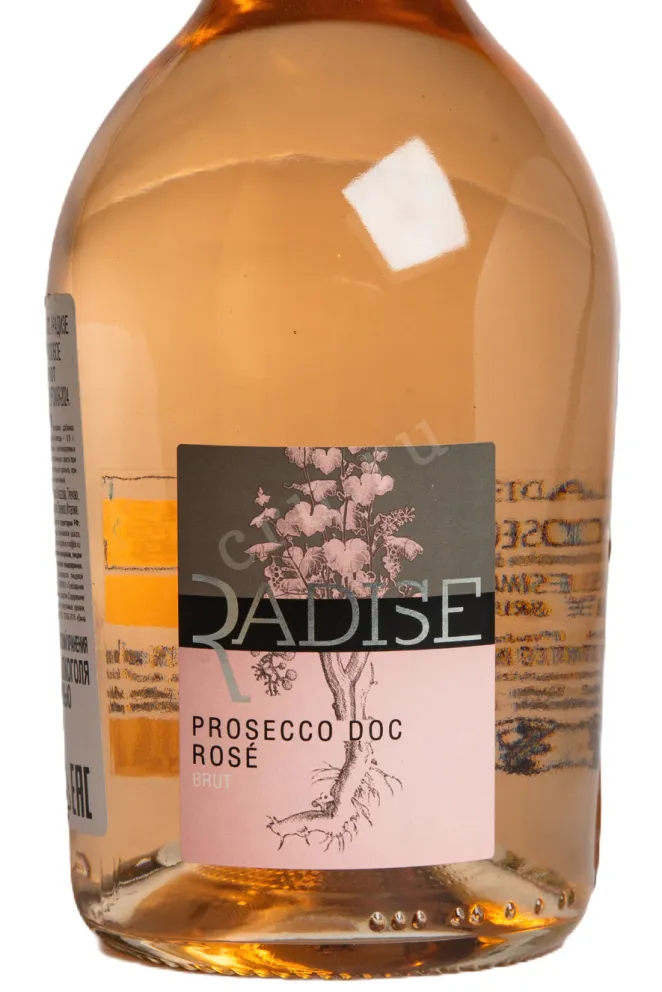 Этикетка Radise Prosecco Millesimato Rose Brut DOC 2024 0.75 л