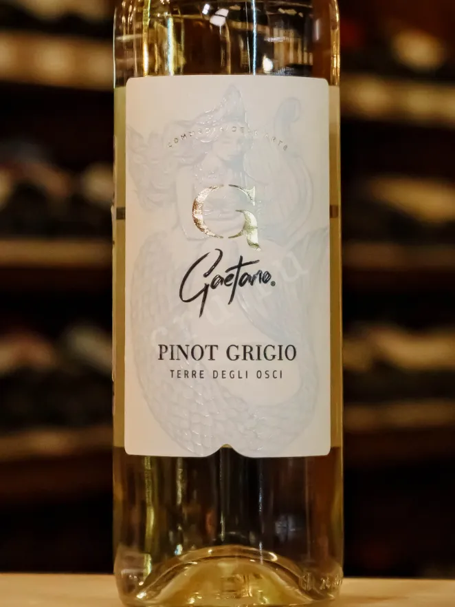 В магазине Крю Профи Gaetano Pinot Grigio Terre Degli Osci 2023 0.75 л