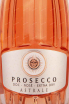 Этикетка Astrale Prosecco Rose 2020 0.75 л