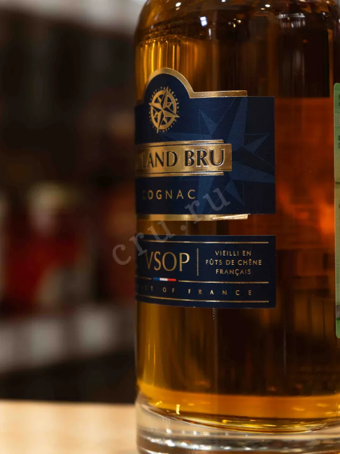 В магазине Крю Профи Roland Bru VSOP in gift box 0.7 л