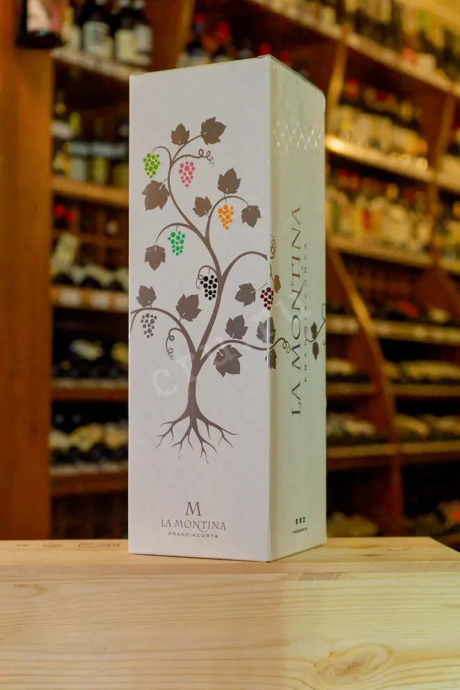 В магазине Крю Профи Montina Franciacorta Brut in gift box 2023 1.5 л