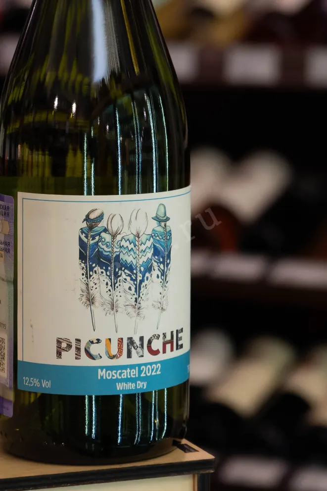 В магазине Крю Профи Picunche Moscatel Valle Del Itata 2022 0.75 л
