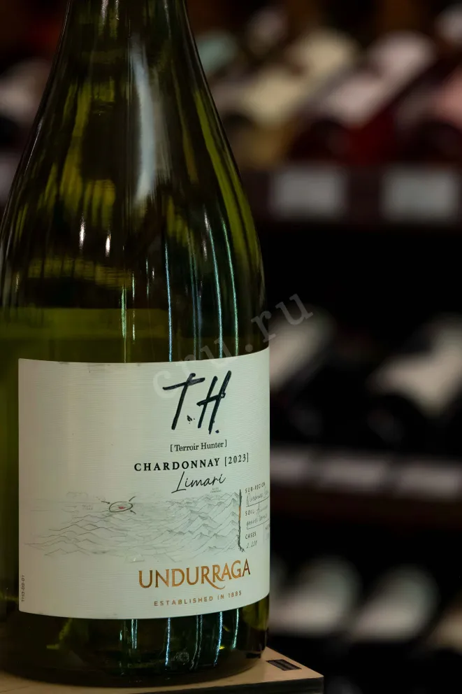В магазине Крю Профи Undurraga TH (Terroir Hunter) Chardonnay Limari DO 2023 0.75 л