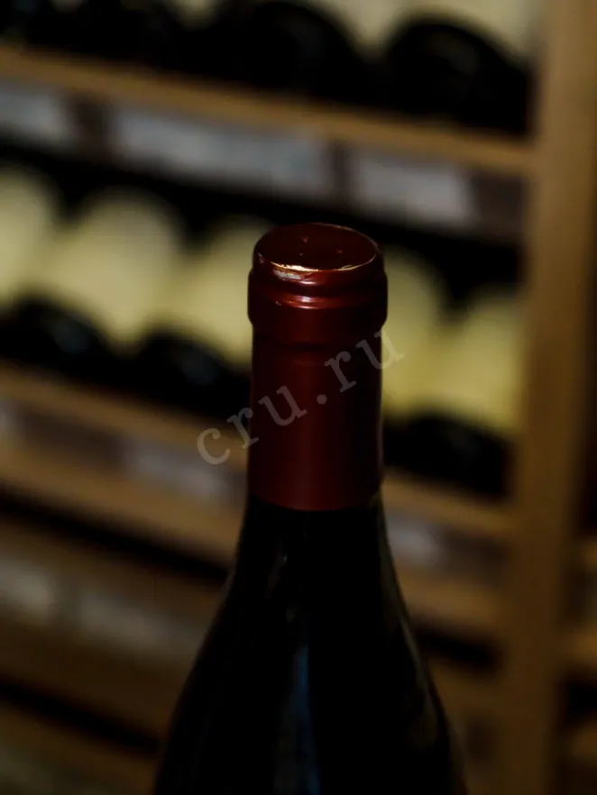 Пробка Ruchottes-Chambertin Gran Cru Frederic Esmonin 2020 0.75 л