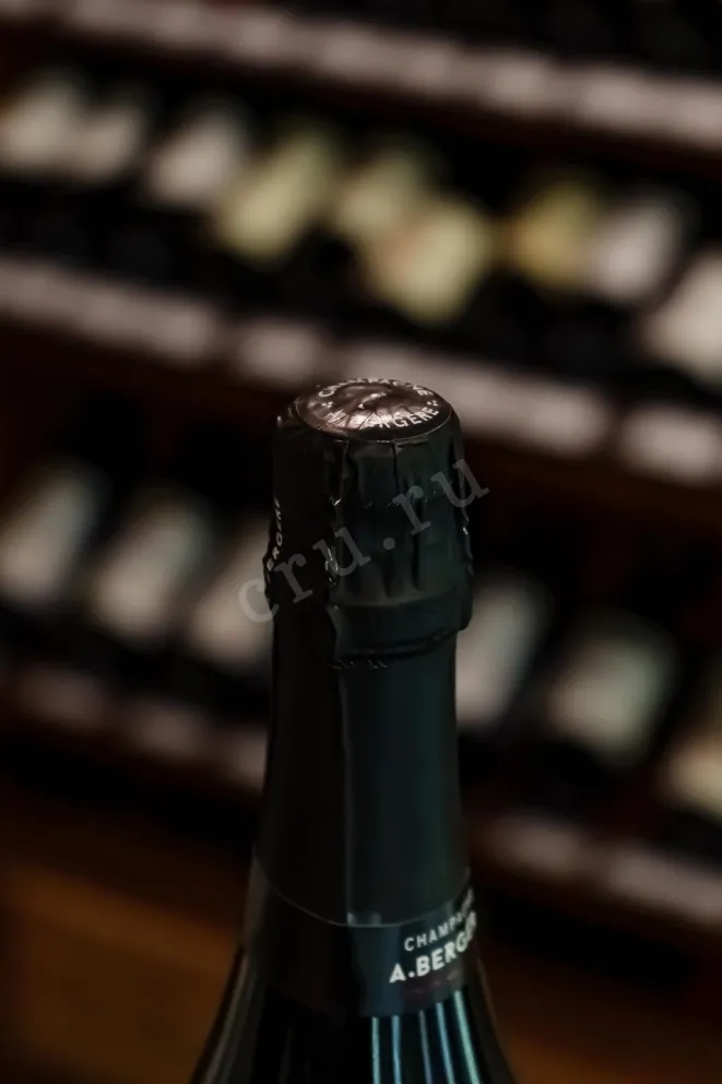 Пробка A. Bergere Les Vignes de Nuit in gift box 2019 0.75 л