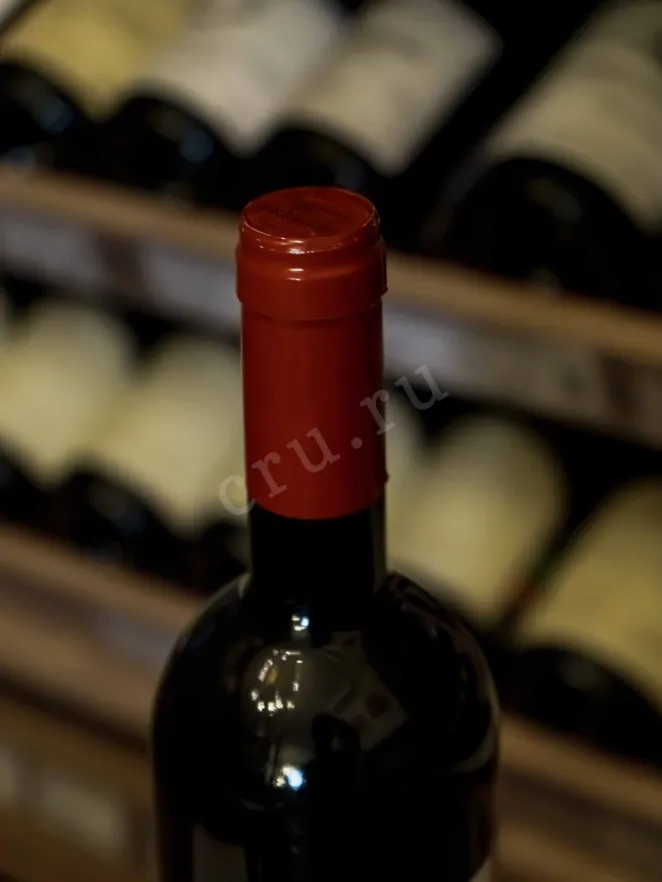 Пробка Castello del Terriccio 2013 0.75 л