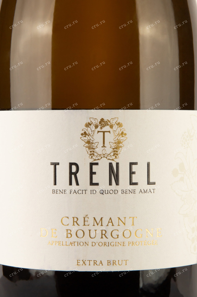 Этикетка Trenel Cremant de Bourgogne Extra Brut AOC 0.75 л