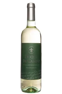 Вино Duque De Campo Viura & Sauvignon Blanc DOP 2022 0.75 л