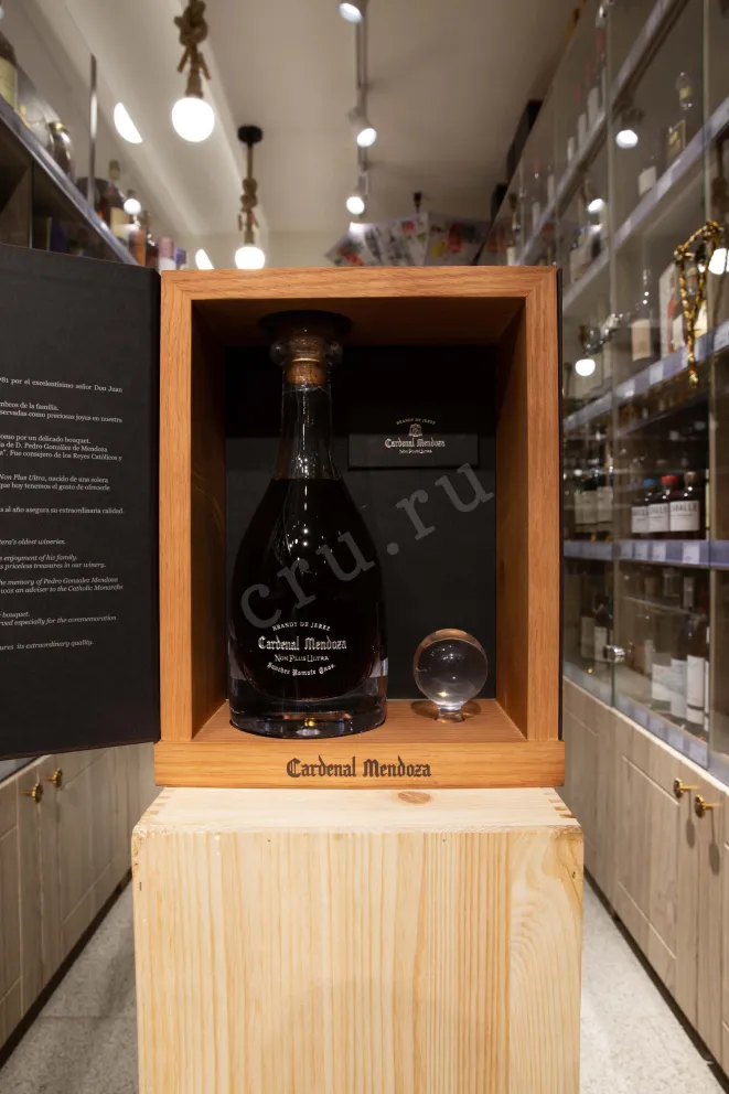 В магазине Крю Профи Cardenal Mendoza Non Plus Ultra 0.5 л