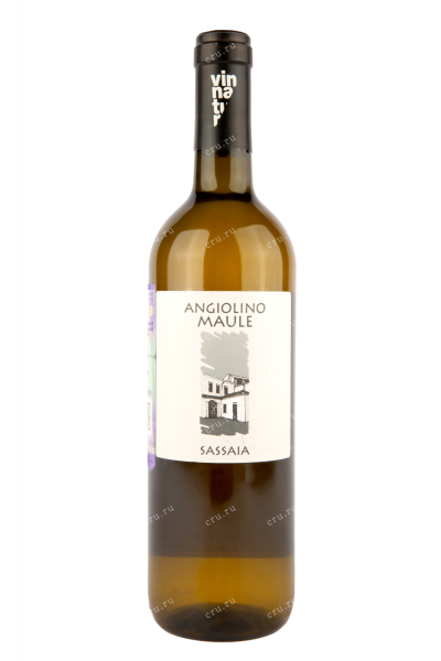 Вино Angiolino Maule Sassaia Veneto 2020 0.75 л
