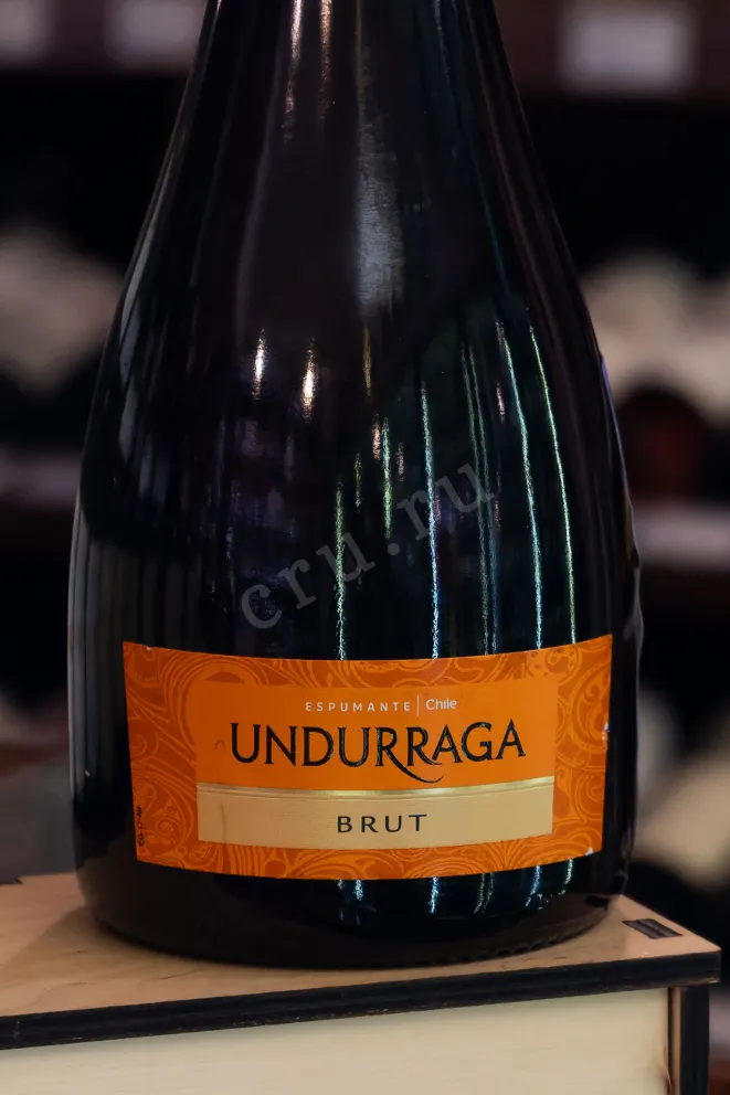 В магазине Крю Профи Undurraga Brut 2023 0.75 л