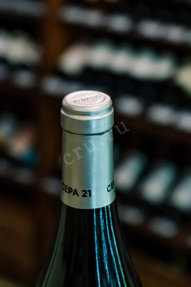 Пробка Cepa 21 Ribera Del Duero 2022 0.75 л