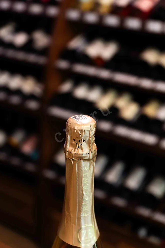 Пробка ZB wine Frizzante 2024 0.75 л
