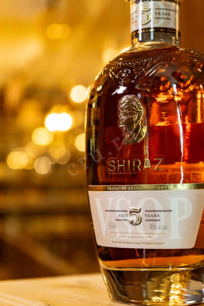 В магазине Крю Профи Shiraz 5 years old 0.5 л