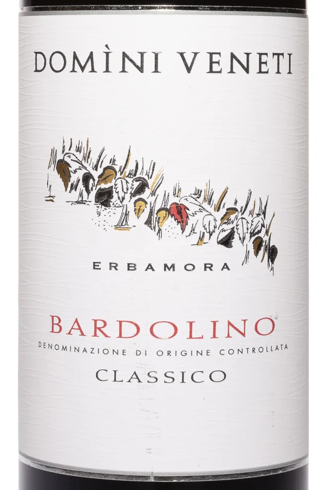 Этикетка Domini Veneti Bardolino Classico 2020 0.75 л