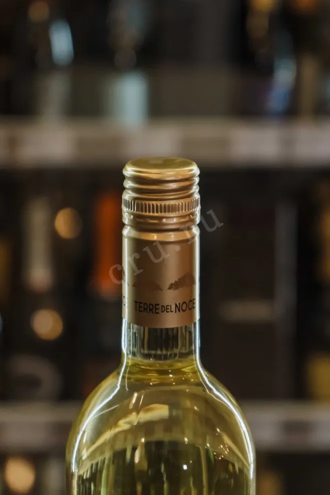 Пробка Mezzacorona Terre del Noce Pinot Grigio 2023 0.75 л