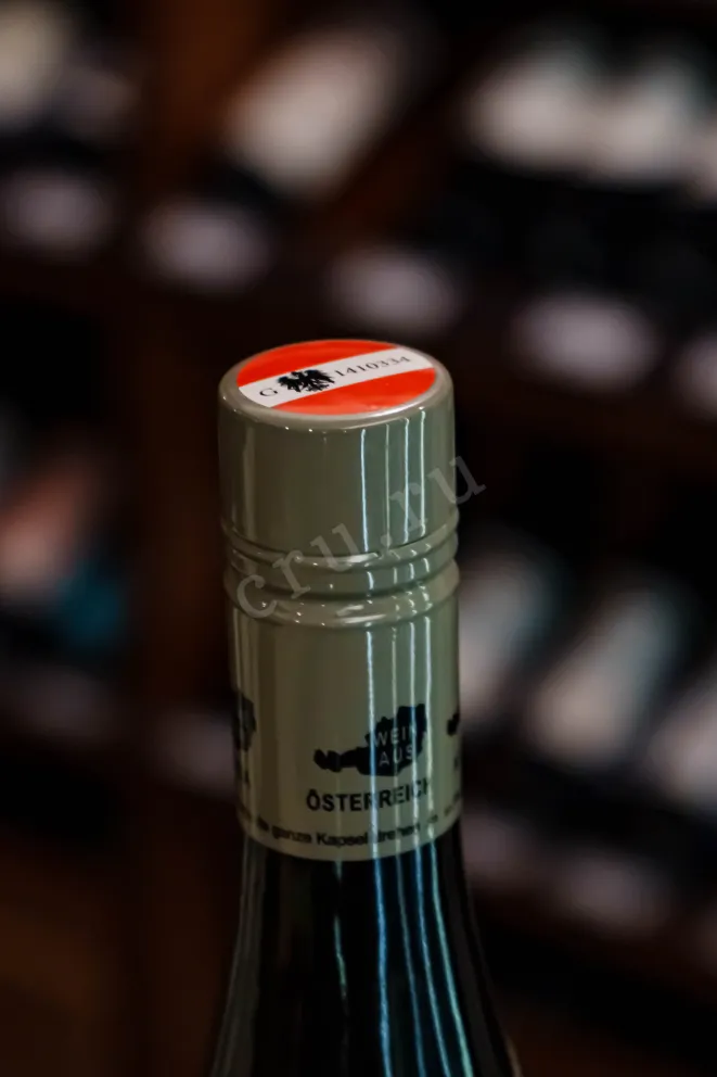 Пробка Weingut R&A Pfaffl Austrian Plum 2024 0.75 л