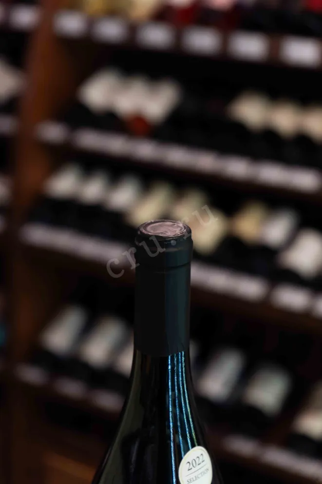 Пробка Castelfeder Buchholz Pinot Nero Sudtirol Alto Adige DOC 2022 0.75 л
