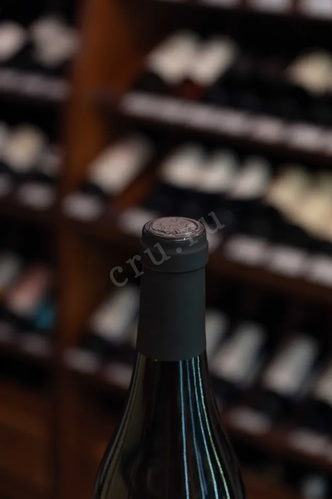 Пробка Domaine Fouassier Sancerre Clos Paradis 2022 0.75 л