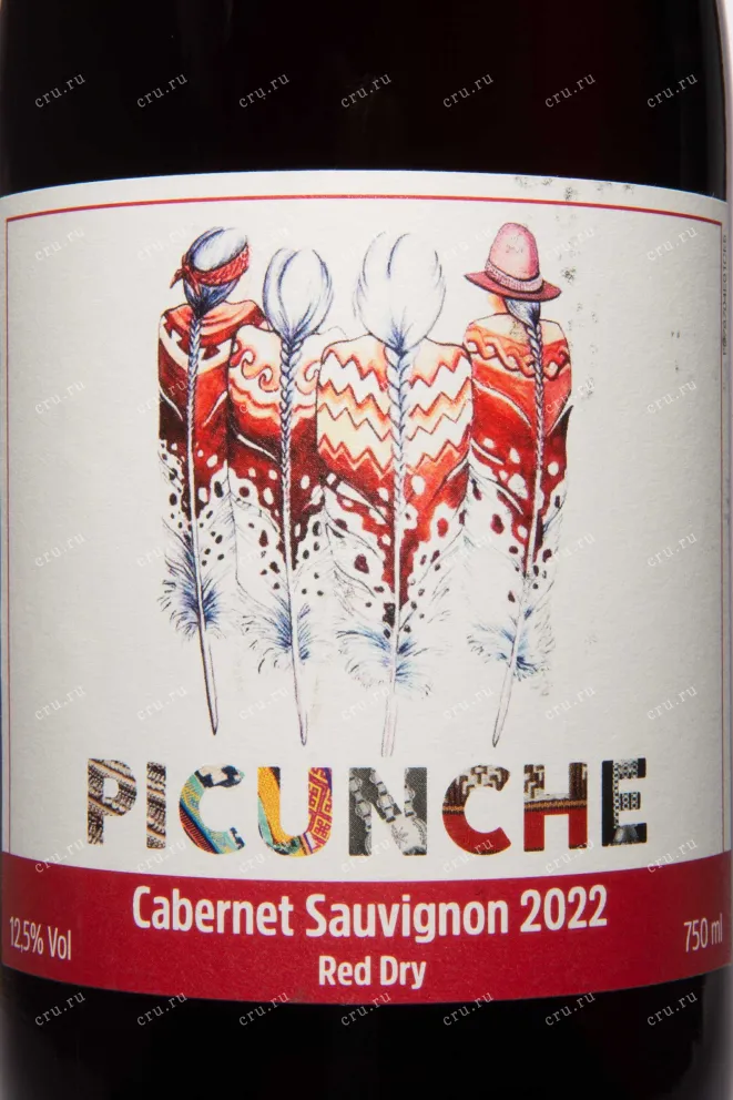 Этикетка Picunche Cabernet Sauvignon Valle Central 2022 0.75 л