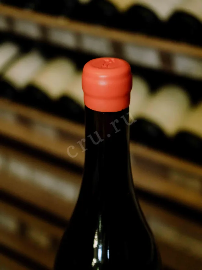 Пробка Domaine Didier Amiot Les Chatelots Chambolle-Musigny Premier Cru AOC 2021 0.75 л