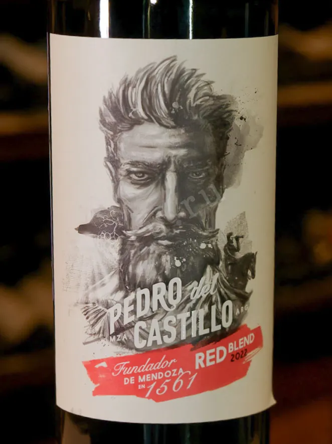 В магазине Крю Профи Pedro del Castillo 2022 0.75 л