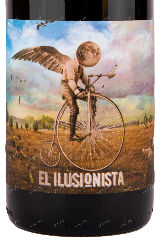 Вино Adegas Tollodouro El Ilusionista Joven Ribera del Duero 2023 0.75 л