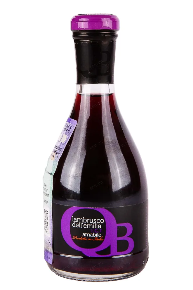 Игристое вино Quanto Basta Lambrusco dell'Emilia Rosso 2022 0.2 л