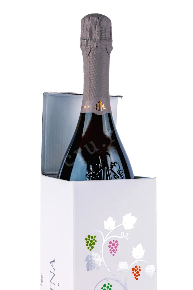 В подарочной коробке Montina Franciacorta Brut in gift box 2023 0.75 л