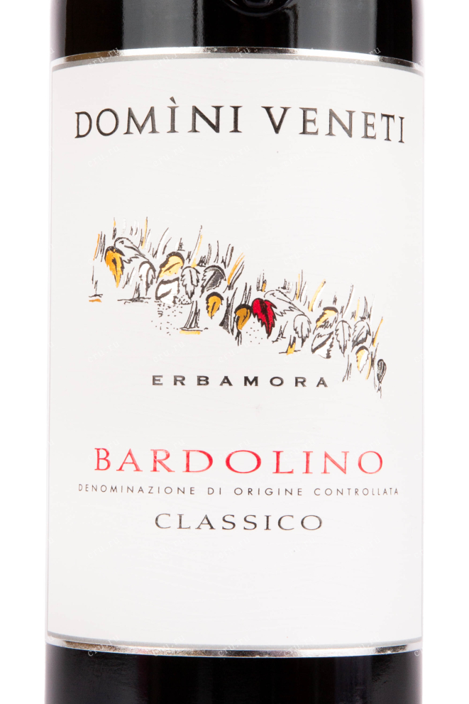 Этикетка вина Domini Veneti Bardolino Classico 0.75 л