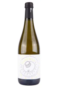 Игристое вино Veneto Garganega  0.75 л