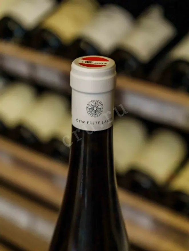 Пробка Brundlmayer Riesling Ried Heiligenstein 1OTW 2022 0.75 л