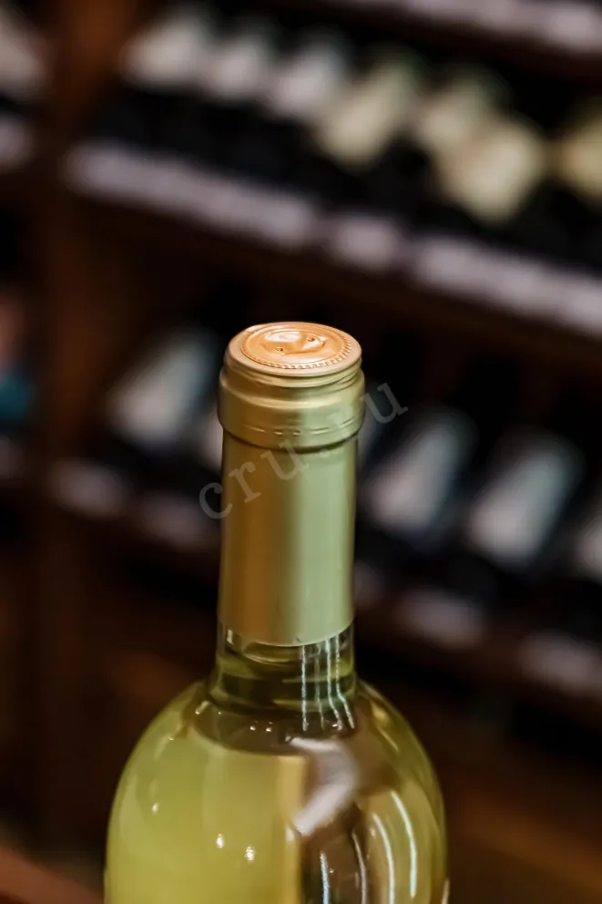Пробка Castellani Duca Sargento Pinot Grigio 2024 0.75 л