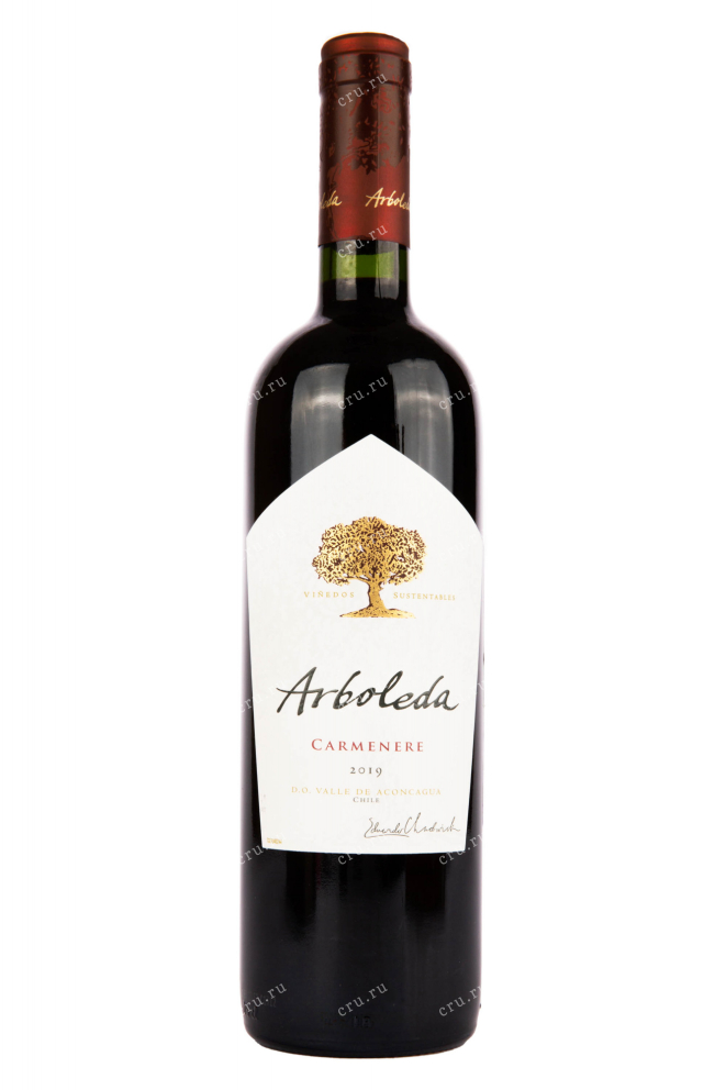 Вино Arboleda Carmenere 2021 0.75 л