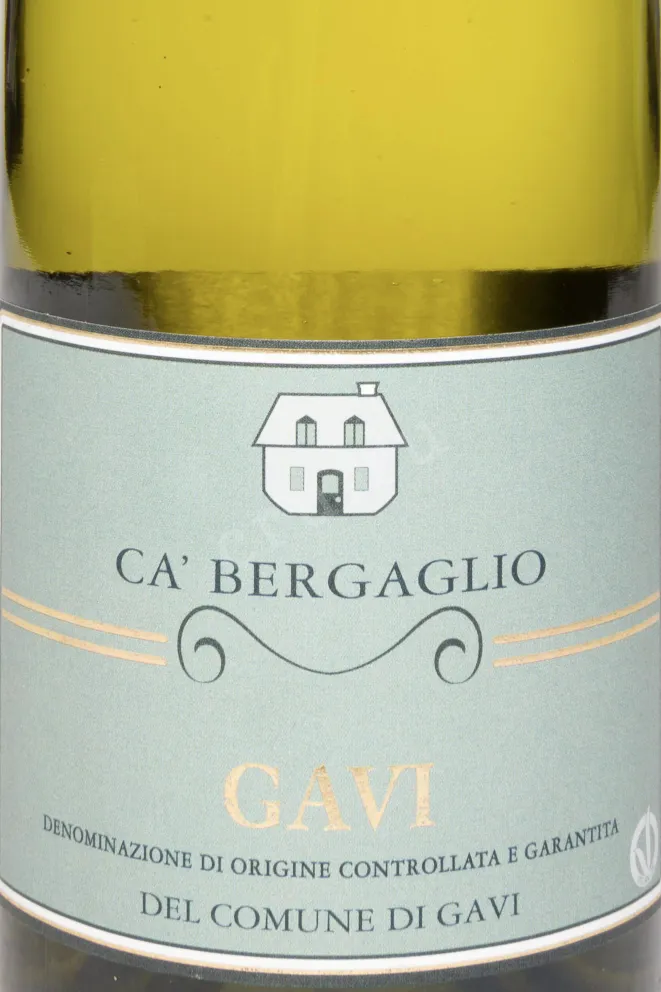 Этикетка Castellari Bergaglio Gavi di Gavi DOCG 2022 0.75 л