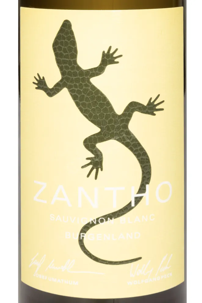 Этикетка Zantho Sauvignon Blanc 2024 0.75 л