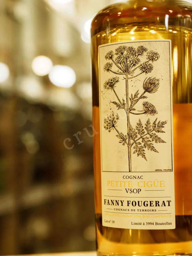 В магазине Крю Профи Fanny Fougerat Petite Cigue VSOP Fins Bois in gift box 0.7 л
