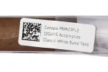 Контрэтикетка Accomplice Principle Cigars Connecticut White Band Toro