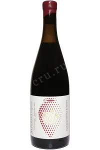 Вино Nareklishvili & Son's Saperavi Qvevri 2021 0.75 л