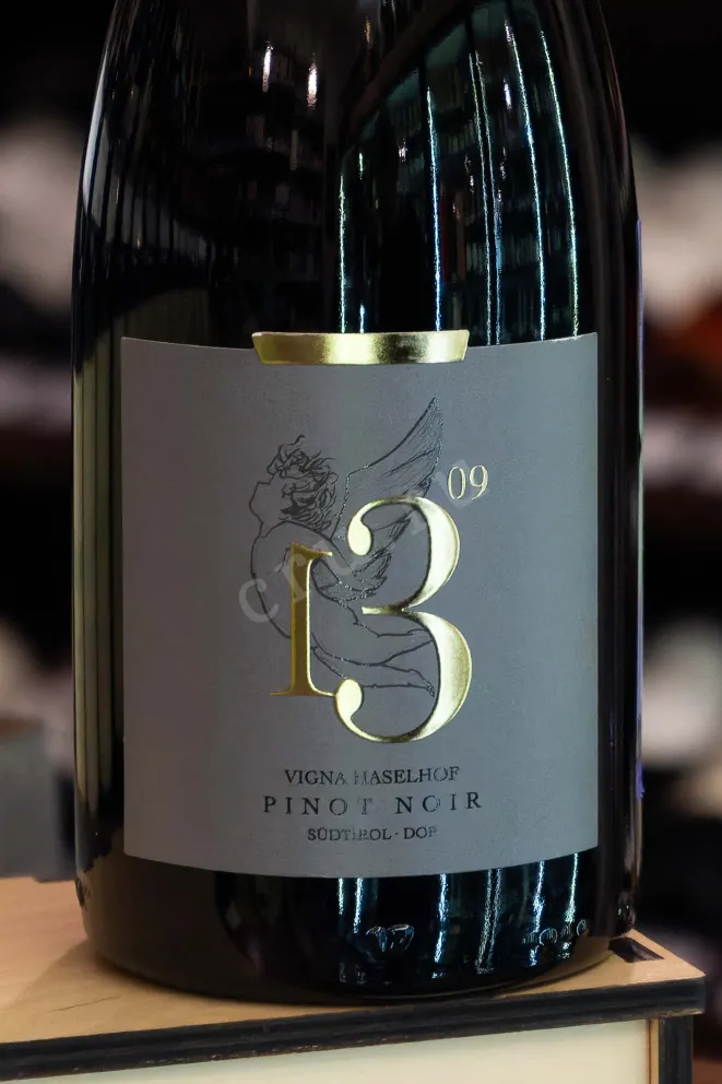 В магазине Крю Профи Josef Brigl 1309 Vigna Haselhof Pinot Noir Riserva 2020 0.75 л