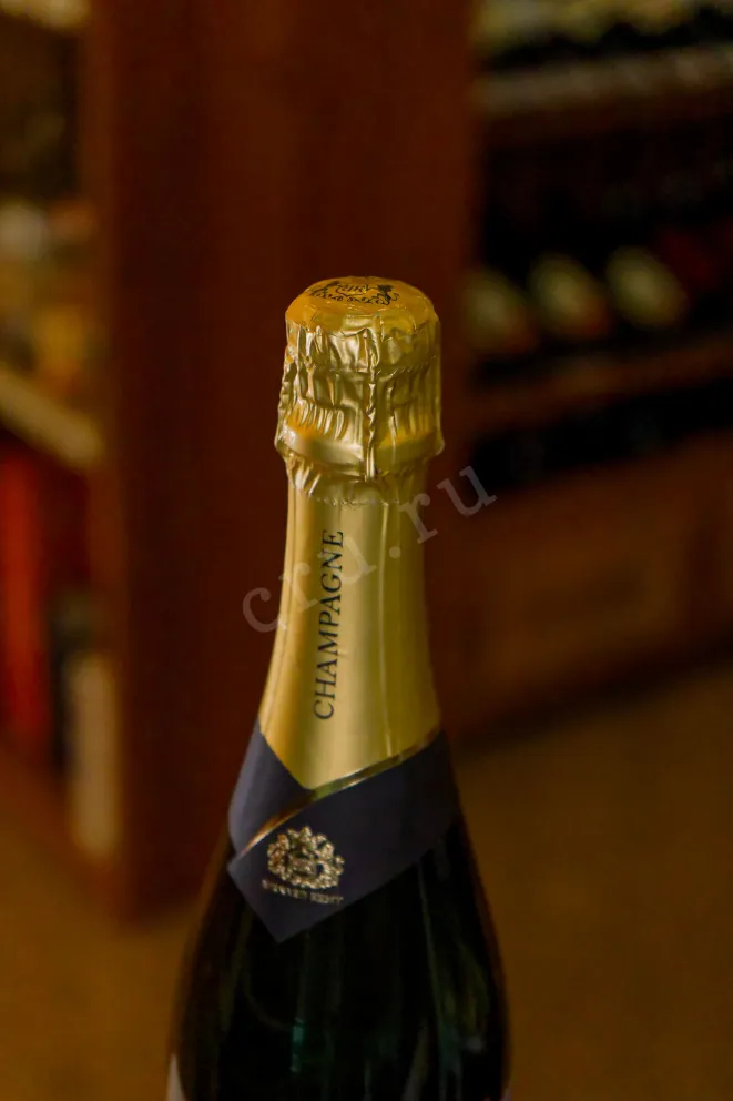 Пробка Bernard Remy Blanc de Noirs with gift box 2021 0.75 л