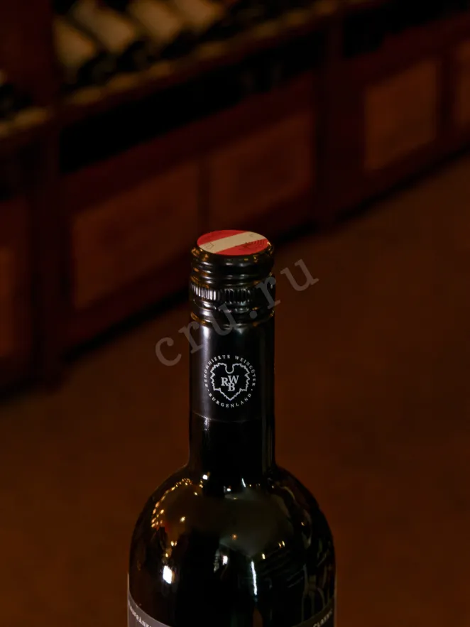 Пробка Hans Igler Blaufrankisch Ried Hochberg 2019 0.75 л