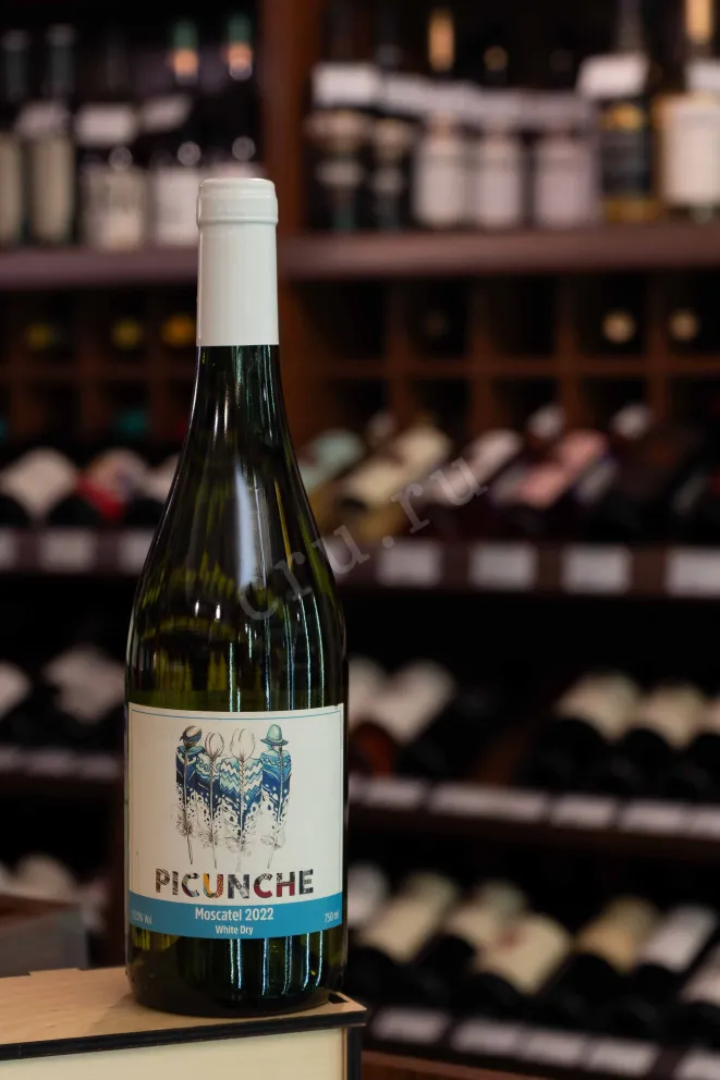 В магазине Крю Профи Picunche Moscatel Valle Del Itata 2022 0.75 л