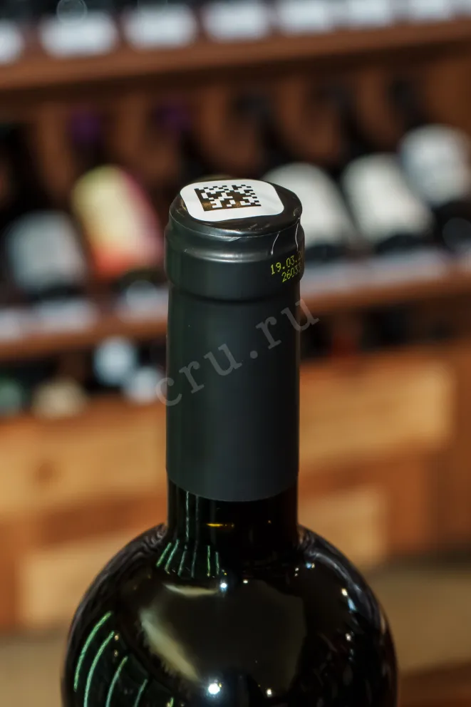 Пробка Chateau de Talu Miroir de Talu Merlo Cabernet Sauvignon 2024 0.75 л