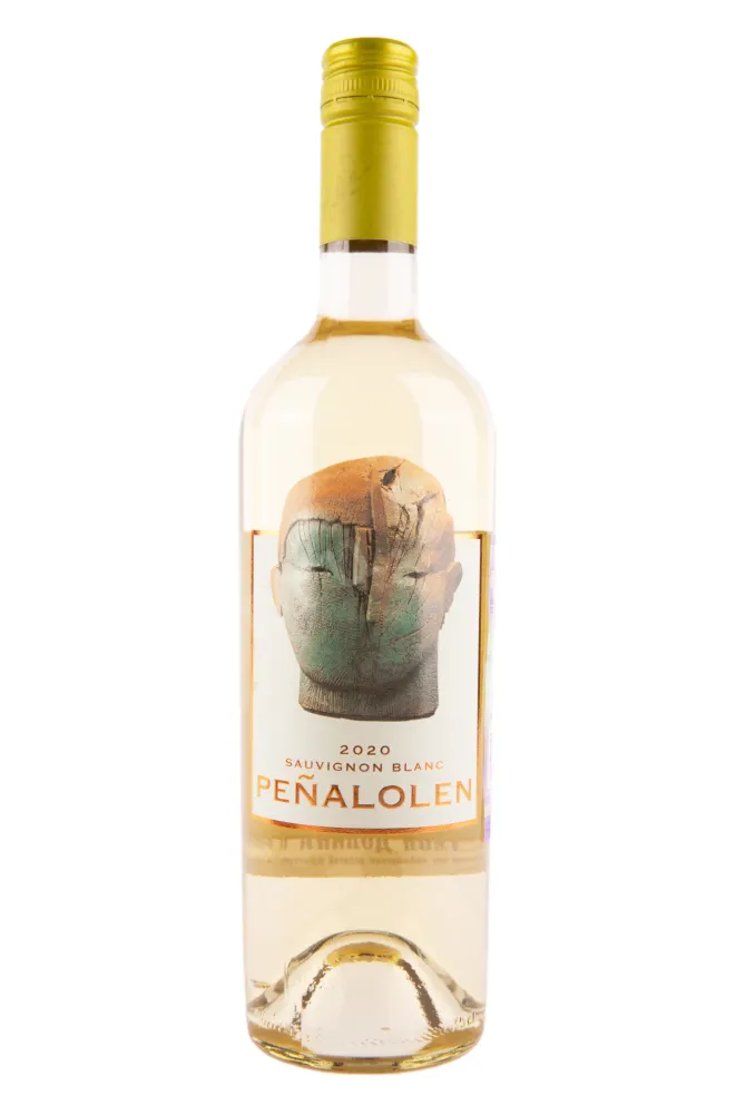 Вино Penalolen Sauvignon Blan 2021 0.75 л