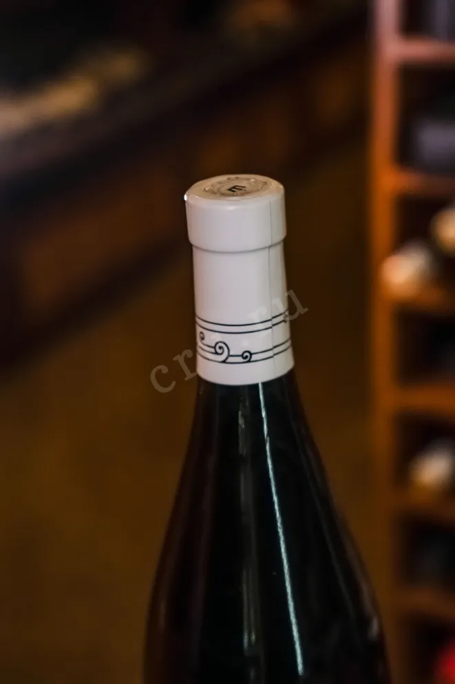 Пробка Petrikor Sauvignon Blanc 2024 0.75 л