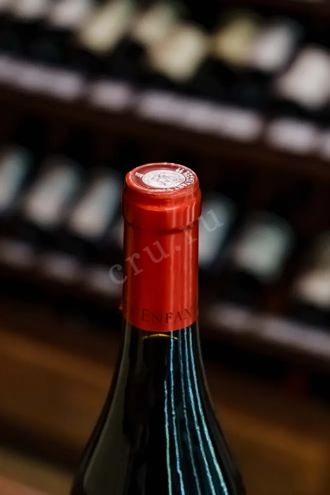 Пробка Domaine Les Enfants Sauvages Cotes Catalanes  Che 2022 0.75 л