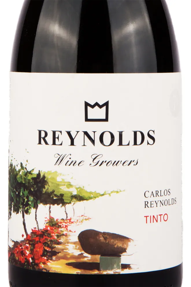 Вино Carlos Reynolds Tinto 2020 0.75 л