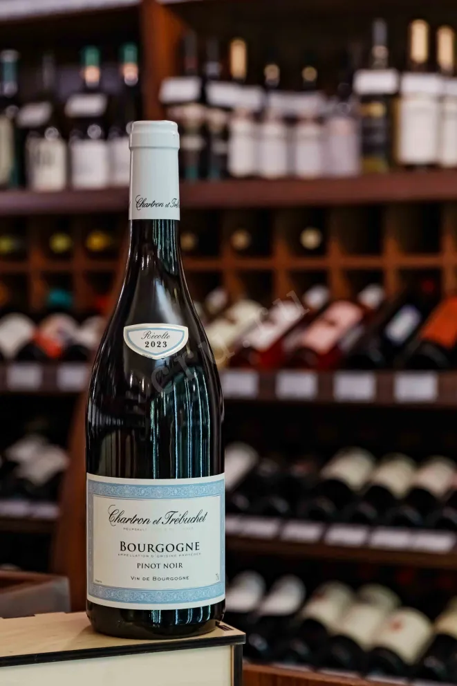 В магазине Крю Профи Chartron et Trebuchet Bourgogne Pinot Noir  2022 0.75 л