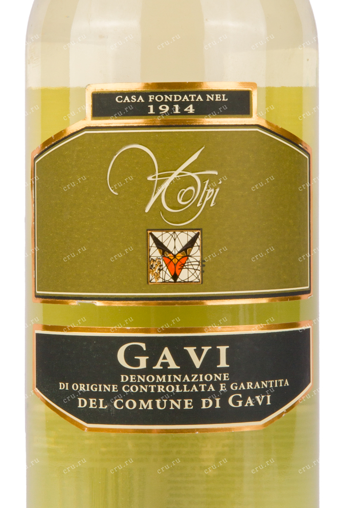 Этикетка вина Cantine Volpi Gavi Del Comune Di Gavi 0.75 л
